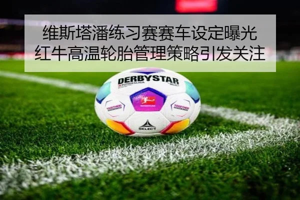 维斯塔潘练习赛赛车设定曝光 红牛高温轮胎管理策略引发关注