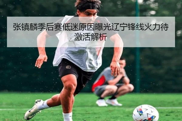 张镇麟季后赛低迷原因曝光辽宁锋线火力待激活解析
